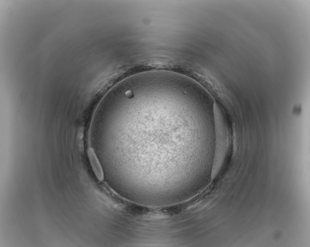 X0000092010696200709131535
