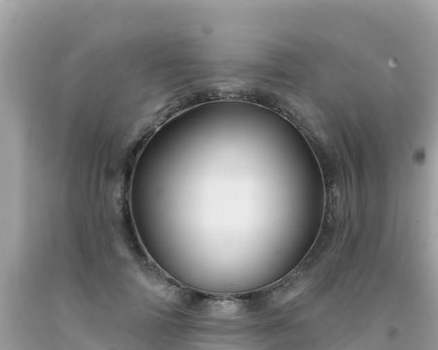 X0000092010698200709131535
