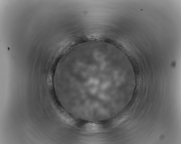 X0000092010699200709131535