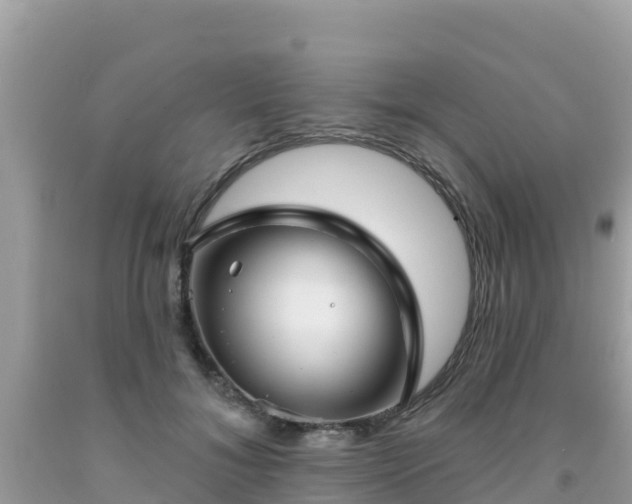 X0000092010700200709131535