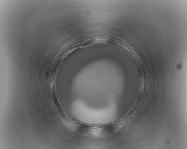X0000092010701200709131535