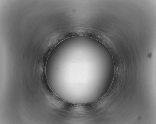 X0000092010702200709131535