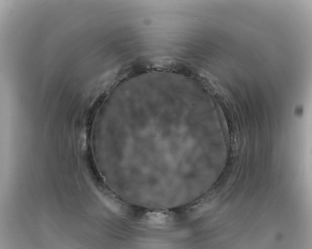 X0000092010703200709131535