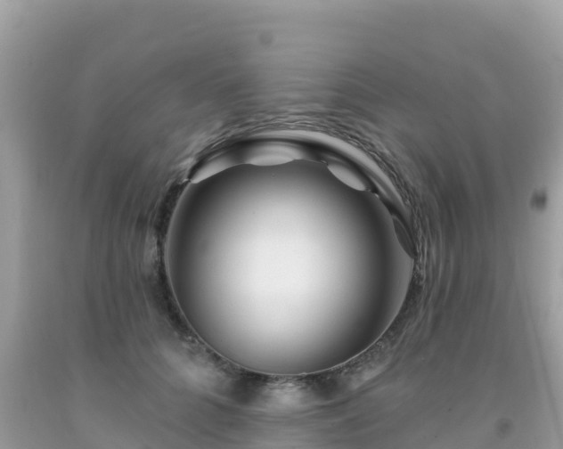 X0000092010704200709131535
