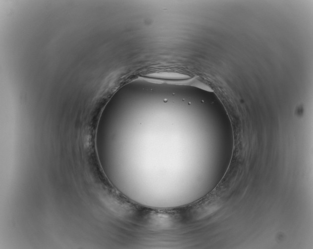 X0000092010706200709131535