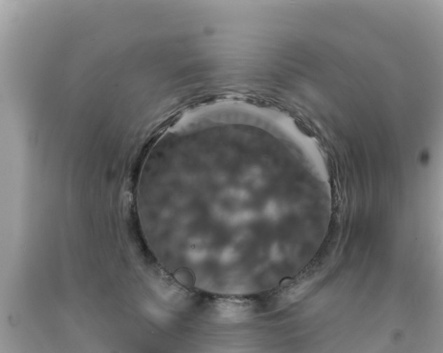 X0000092010707200709131535