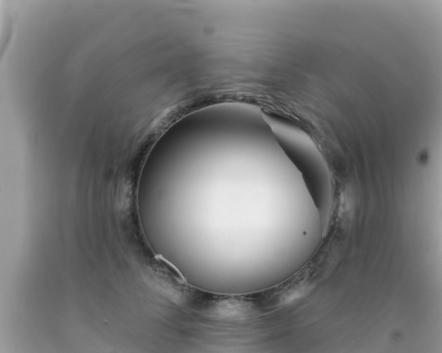 X0000092010708200709131535