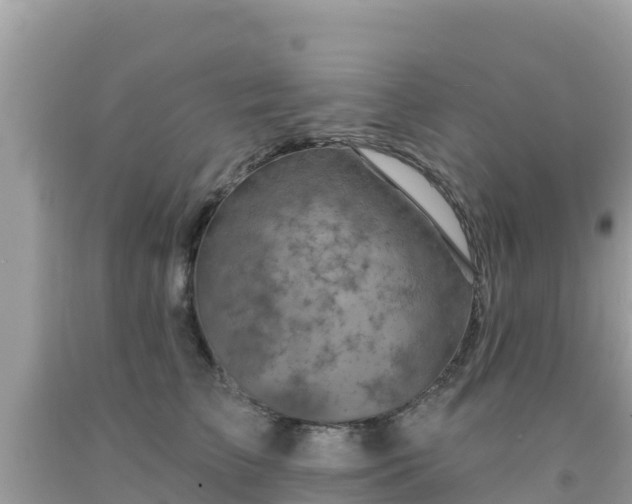 X0000092010709200709131535