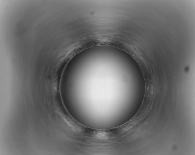 X0000092010710200709131534