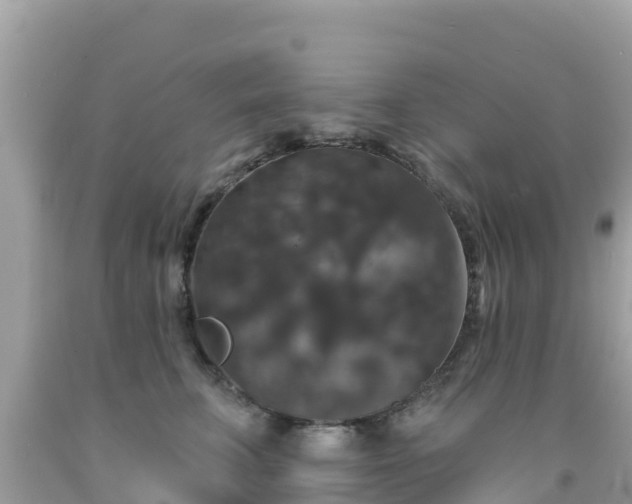 X0000092010711200709131534