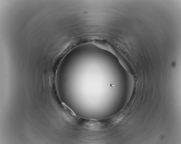 X0000092010712200709131534