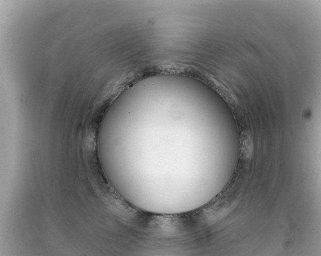 X0000092010713200709131534