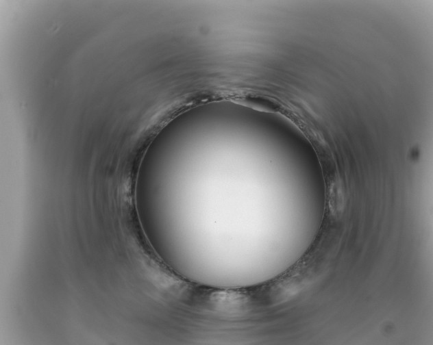 X0000092010714200709131534
