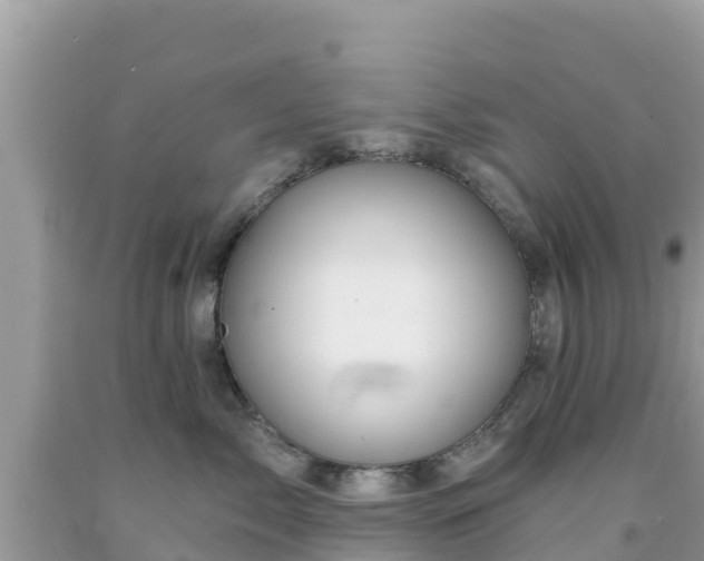 X0000092010717200709131534