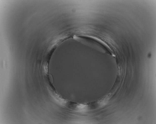 X0000092010718200709131534