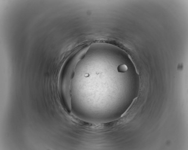 X0000092010720200709131534
