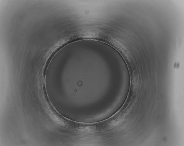 X0000092010721200709131534