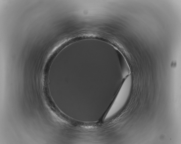 X0000092010722200709131534