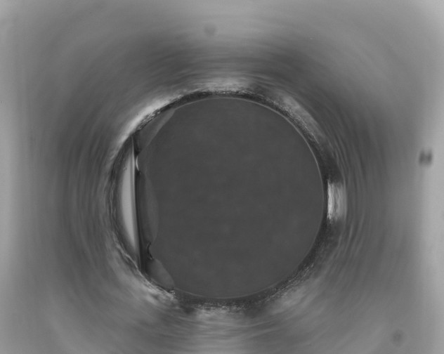 X0000092010723200709131534
