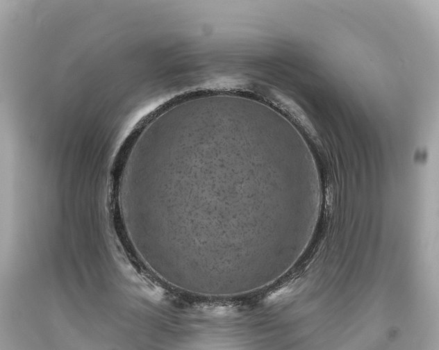 X0000092010724200709131534