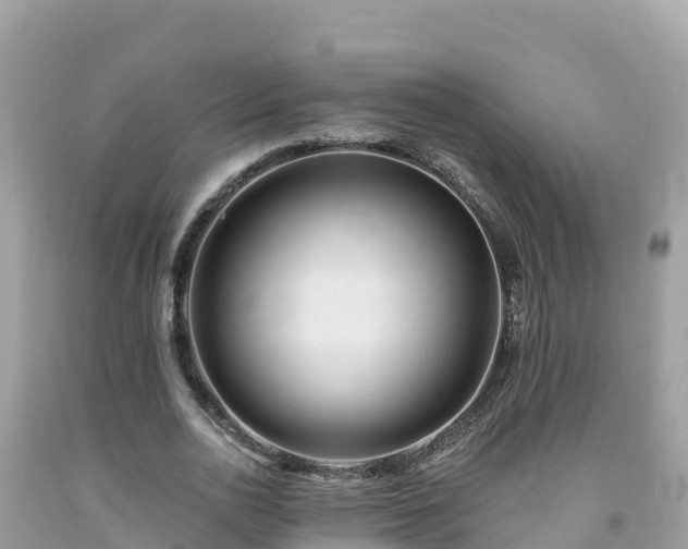 X0000092010726200709131534