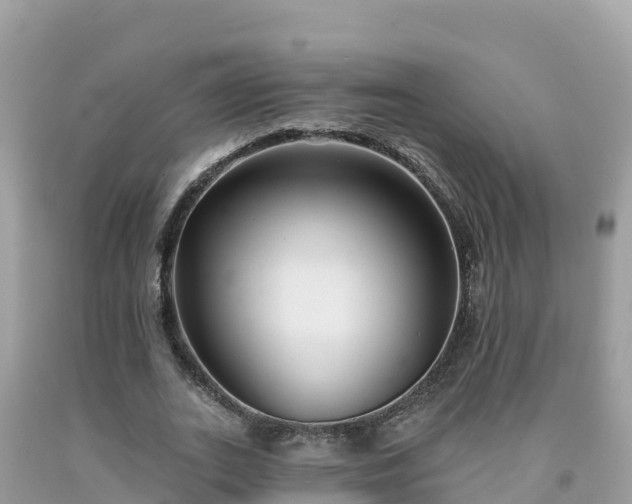 X0000092010727200709131534
