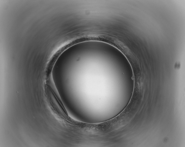 X0000092010728200709131534
