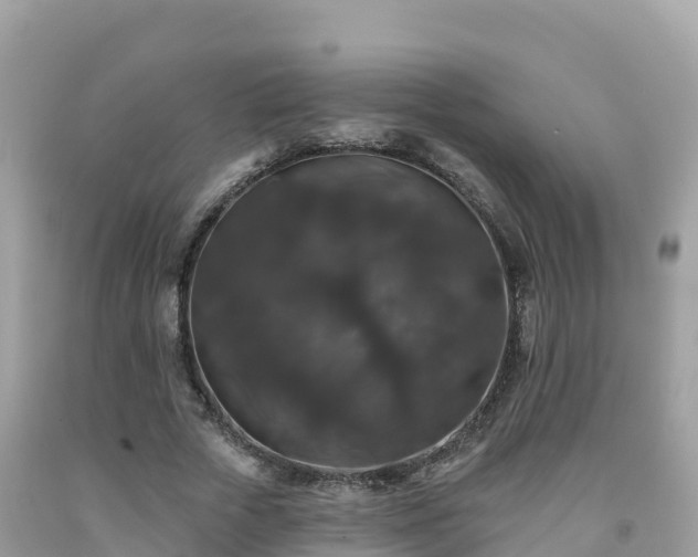 X0000092010729200709131534