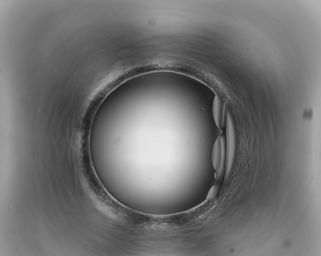 X0000092010730200709131534