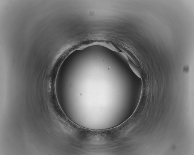 X0000092010731200709131534