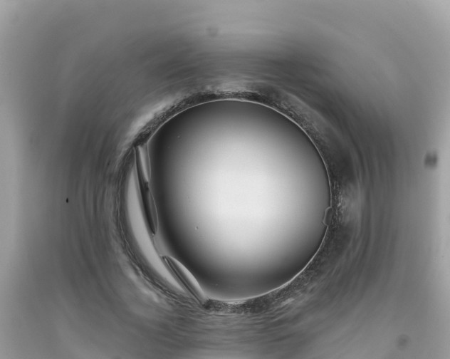 X0000092010732200709131534