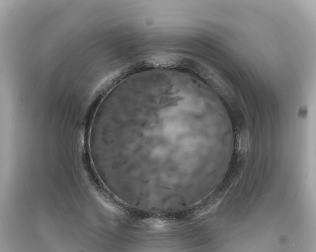 X0000092010733200709131534
