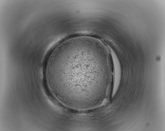 X0000092010734200709131534