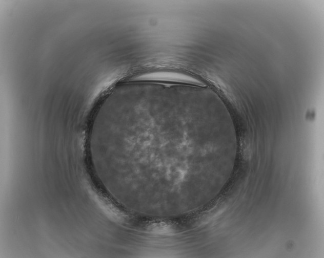 X0000092010735200709131534