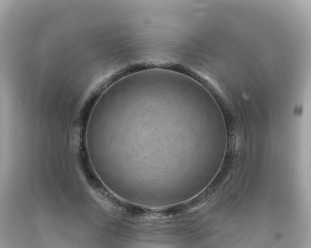 X0000092010736200709131534
