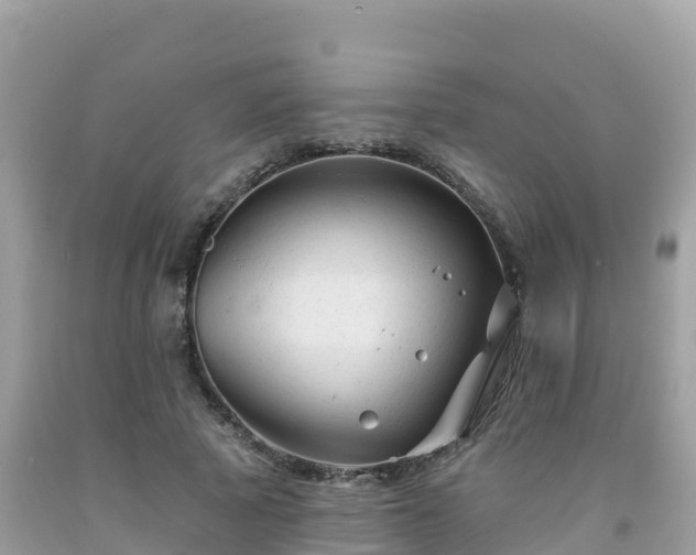 X0000092010737200709131534
