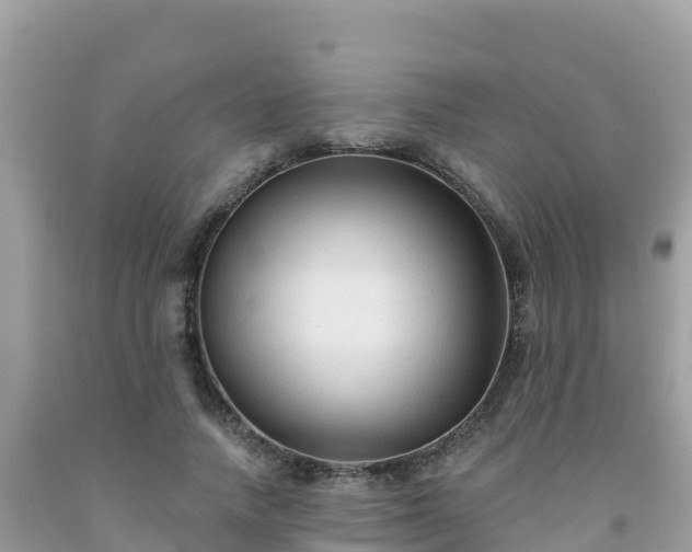 X0000092010738200709131534