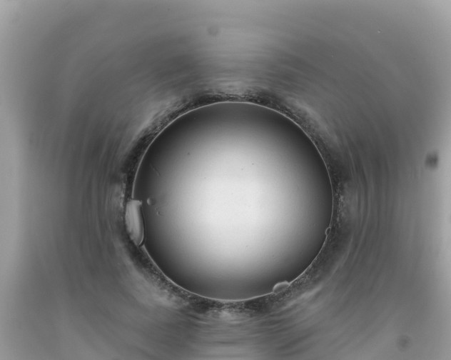 X0000092010739200709131534