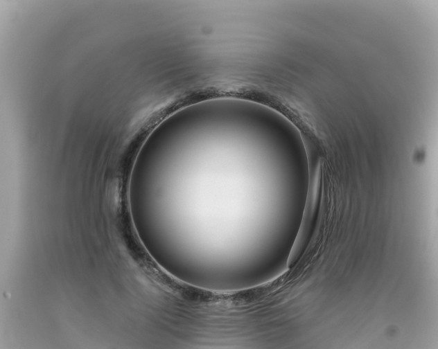 X0000092010740200709131534