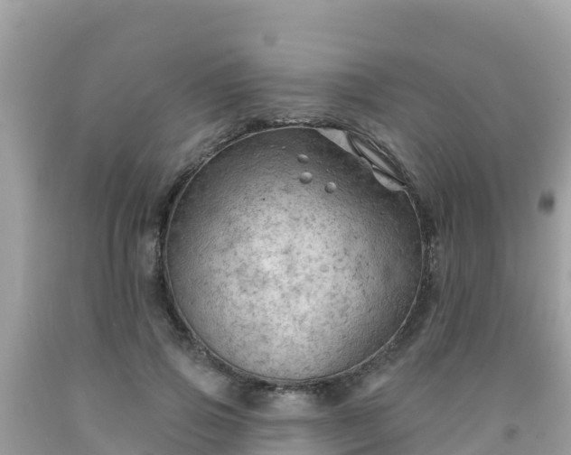 X0000092010741200709131534