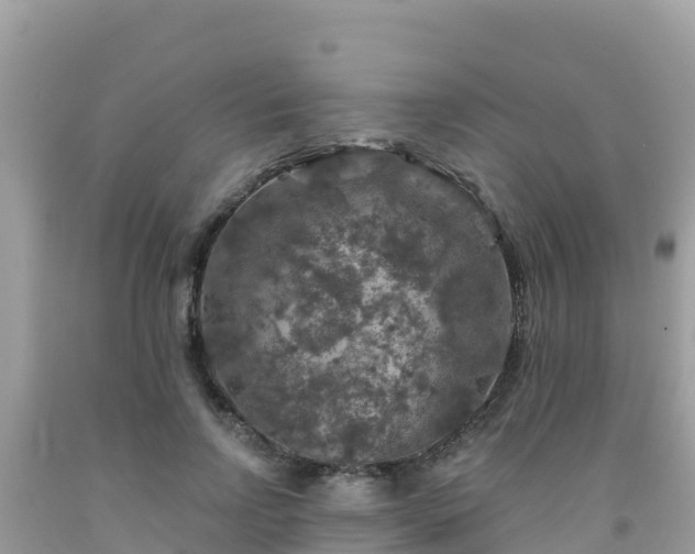 X0000092010742200709131534