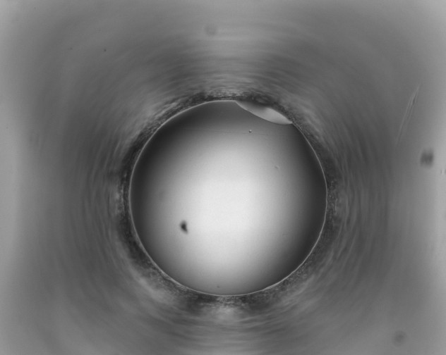 X0000092010743200709131534