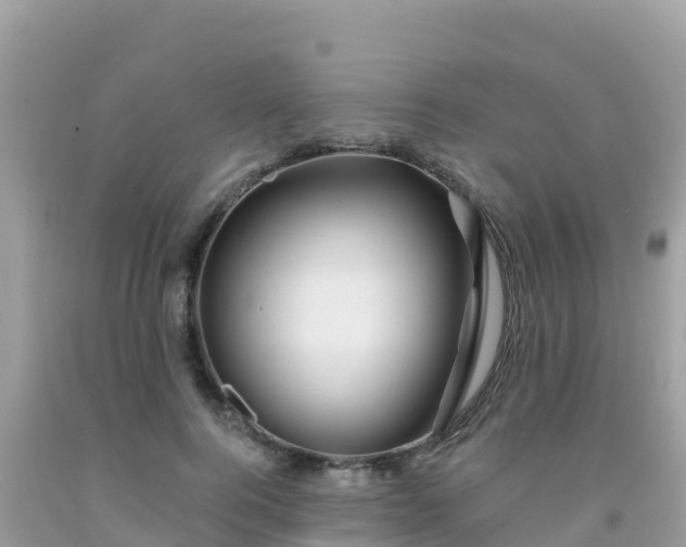 X0000092010744200709131534