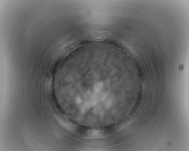 X0000092010745200709131534