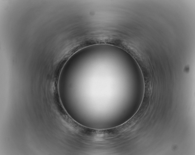 X0000092010746200709131534