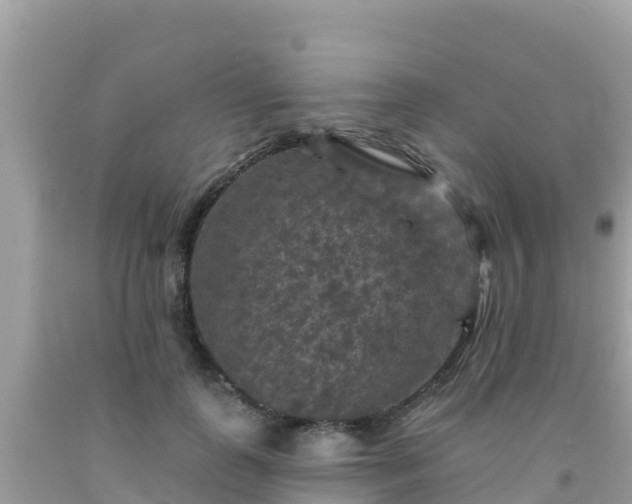 X0000092010747200709131534