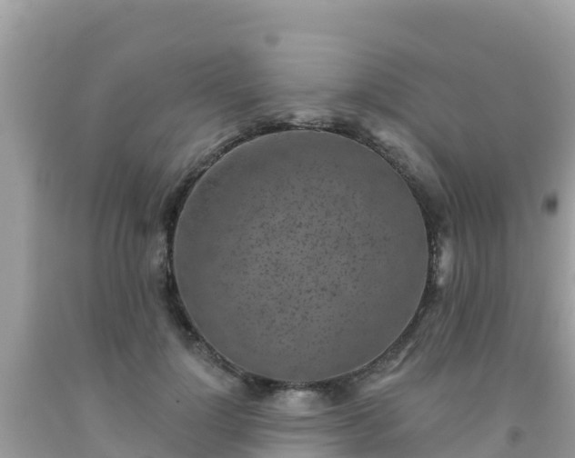 X0000092010748200709131534