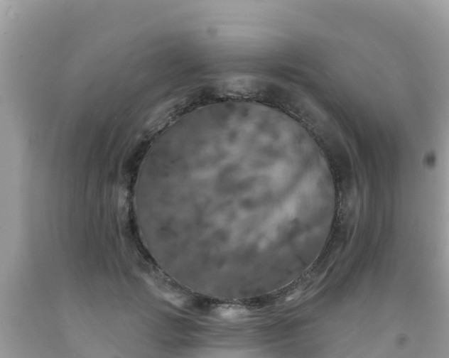 X0000092010749200709131534