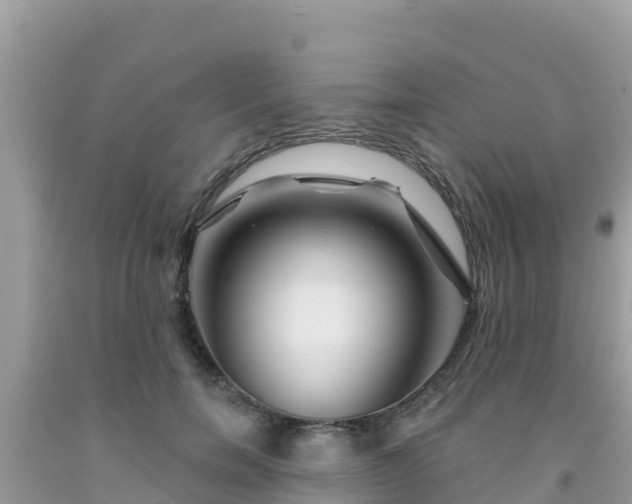 X0000092010750200709131534