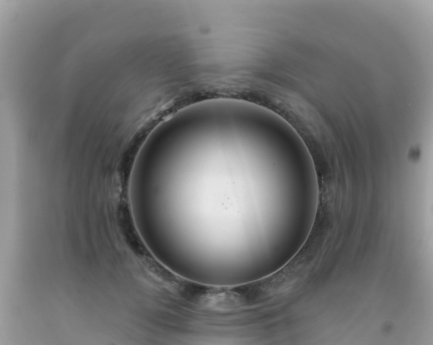 X0000092010752200709131534